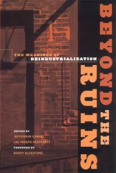 Beyond the Ruins : The Meanings of Deindustrialization