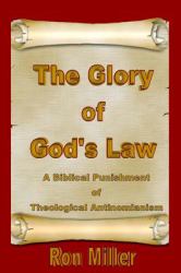 The Glory of God's Law : A Biblical Punishment of Theological Antinomianism