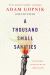 A Thousand Small Sanities : The Moral Adventure of Liberalism