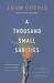 A Thousand Small Sanities : The Moral Adventure of Liberalism