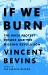 If We Burn : The Mass Protest Decade and the Missing Revolution