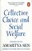 Collective Choice and Social Welfare