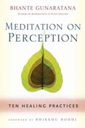 Meditation on Perception : Ten Healing Practices to Cultivate Mindfulness