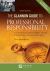 Glannon Guide to Professional Responsibility : Learning Professional Responsibility Through Multiple-Choice Questions and Analysis