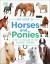 My Book of Horses and Ponies : A Fact-Filled Guide to Your Equine Friends