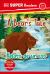 DK Super Readers Pre-Level Bilingual a Bear's Tale - Relato de un Oso