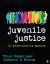 Juvenile Justice : An Active-Learning Approach