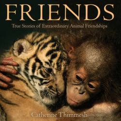 Friends : True Stories of Extraordinary Animal Friendships