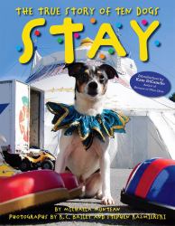 The True Story of Ten Dogs - Stay