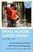 Small Places, Large Issues : An Introduction to Social and Cultural Anthropology