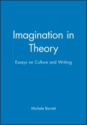 Imagination in Theory : Essays on Culture and Writing