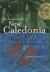 The Fundamentals of New Caledonia