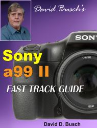 David Busch's Sony A99 II FAST TRACK GUIDE