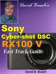 David Busch's Sony Cyber-shot DSC-RX100 V Fast Track Guide