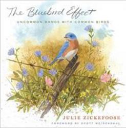 The Bluebird Effect : Uncommon Bonds with Common Birds