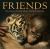 Friends : True Stories of Extraordinary Animal Friendships