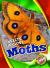 Moths (Insects up Close)