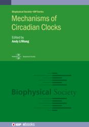 Mechanisms of Circadian Clocks