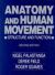 Anatomy and Human Movement : Structure and Function