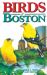 Birds of Boston