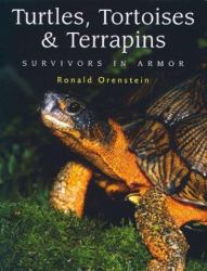 Turtles, Tortoises and Terrapins : Survivors in Armor