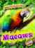 Macaws : Animals of the Rain Forest