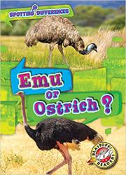 Emu or Ostrich? : Spotting Differences