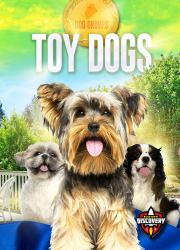 Toy Dogs : Dog Groups