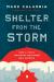 Shelter from the Storm : How a COVID Mortgage Meltdown Was Averted