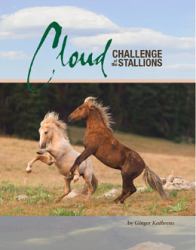 Cloud : Challenge of the Stallions