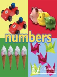 Numbers