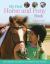 My First Horse and Pony Book : From Breeds and Bridles to Jodhpurs and Jumping