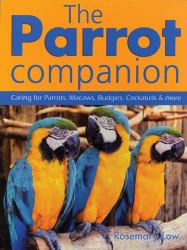 The Parrot Companion : Caring for Parrots, Macaws, Budgies, Cockatiels and More