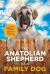 The Anatolian Shepherd As a Family Dog : Successfully Raising Your Anatolian Shepherd to Thrive As a Family Dog