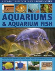 A Complete Practical Guide and Fish Identifier : Aquariums and Aquarium Fish