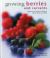 Growing Berries and Currants : A Directory of Varieties and How to Cultivate Them Successfully