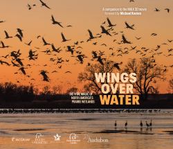 Wings over Water : The Vital Magic of North America's Prairie Wetlands