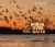 Wings over Water : The Vital Magic of North America's Prairie Wetlands