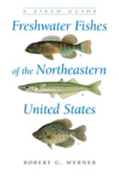 Freshwater Fishes of the Northeastern United States : A Field Guide