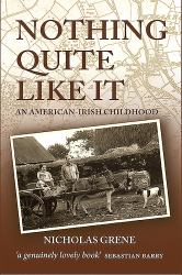 Nothing Quite Like It : An American-Irish Childhood