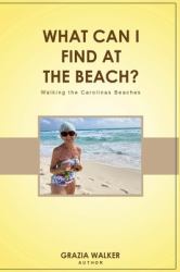 What Can I Find at the Beach?