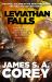 Leviathan Falls : Book 9 of the Expanse (now a Prime Original Series)