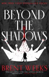 Beyond the Shadows : Book 3 of the Night Angel