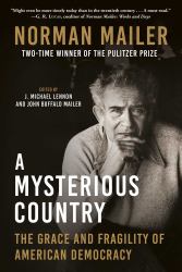 A Mysterious Country : The Grace and Fragility of American Democracy