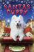 Santa's Puppy : A Christmas Holiday Book for Kids