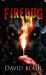 Firebug: a Novel