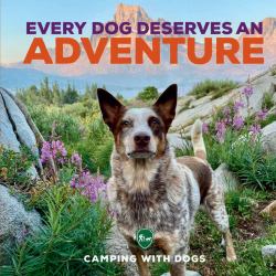 Every Dog Deserves an Adventure : Amazing Stories of Camping with Dogs