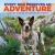 Every Dog Deserves an Adventure : Amazing Stories of Camping with Dogs