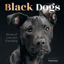 Black Dogs : Stories of Love and Friendship