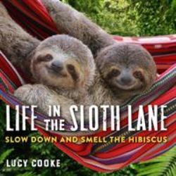 Life in the Sloth Lane : Slow down and Smell the Hibiscus